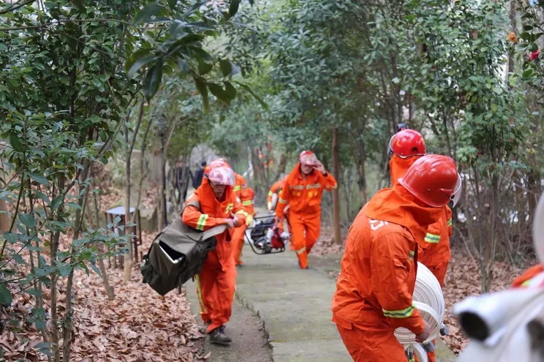 清明時節(jié)，區(qū)長緊盯森林防火，要求必須全力以赴，嚴防死守！